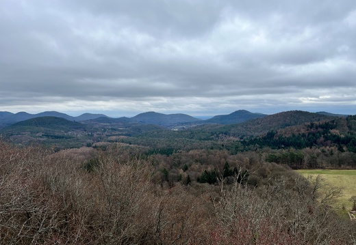 24-03-01 12-27-02 8868